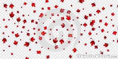 Canada Day maple leaves background. Falling red leaves for Canada Day 1st July Vector Illustration