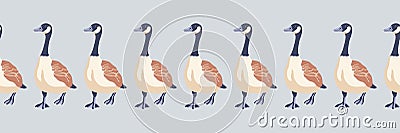 Canada goose. Seamless border of Canada gees moving forward. English style pattern. Vintage style color birds. Vector illustration Vector Illustration