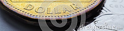 Canadian coins. Money change of Canada. 1 dollar Canadian coin close-up. Banner or header about economy or finance. News about Stock Photo