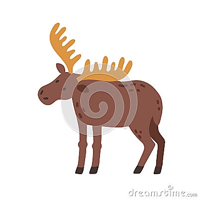Canadian elk with horns. Scandinavian horny moose. Nordic wild animal. Colored flat vector illustration of Swedish fauna Vector Illustration