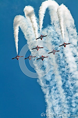 Canadian Forces Snowbirds Jet Aircraft Team Editorial Stock Photo