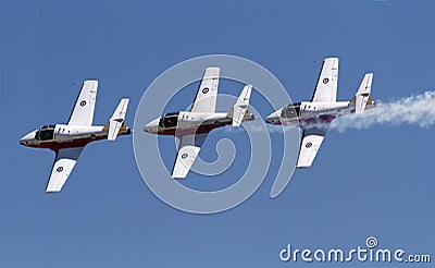 Canadian Forces Snowbirds Jet Aircraft Team St. Thomas Airshow Editorial Stock Photo