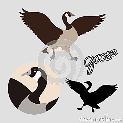 Canadian goose vector illustration style Flat black silhouette Vector Illustration