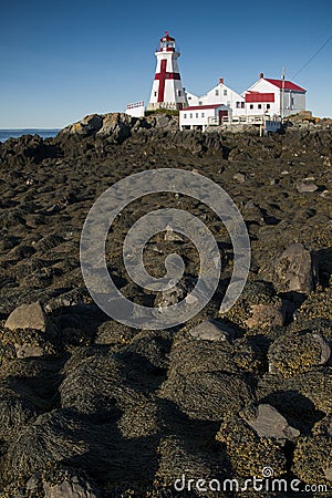 Canadian Lighthouse Surrounded by Rocks Covered in Seaweed During Low Tide Stock Photo
