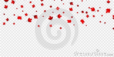 Canadian maple leaves background. Falling red leaves for Canada Day 1st July Vector Illustration