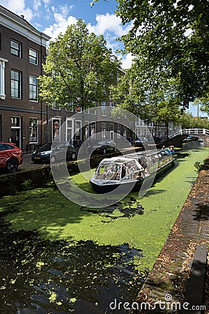 Canal boat sails through the duckweed covered water in Delft, the Netherlands Editorial Stock Photo