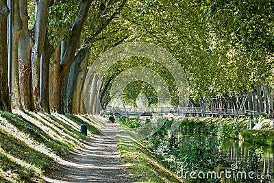 Canal de Brienne in Toulouse, France Stock Photo