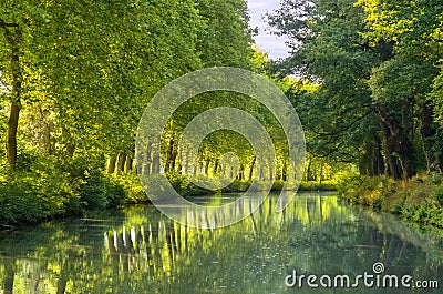 Canal du Midi, sycamore trees reflection in water, France Stock Photo