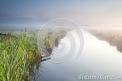 Canal in Dutch farmland Stock Photo