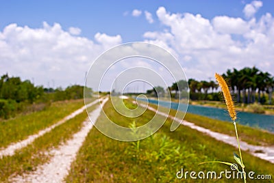 Canal and Levee Stock Photo