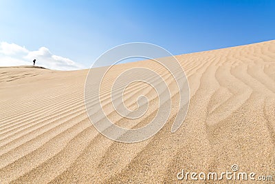 Canary islands, Maspalomas. Spain. Sand dunes. Stock Photo