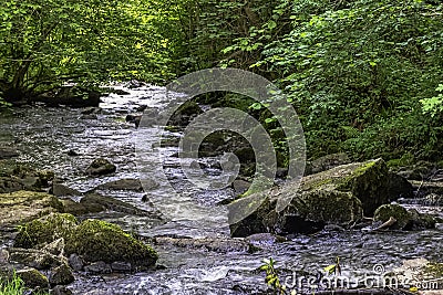 Cance / Cancon river - Le Neufbourg, Normandy, France Stock Photo