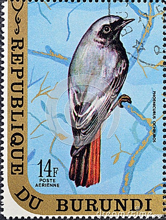 Cancelled postage stamp printed by Burundi, that shows The black redstart Editorial Stock Photo