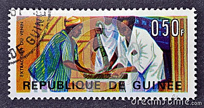 Cancelled postage stamp printed by Guinea, that shows Extraction of Snake Venom Editorial Stock Photo