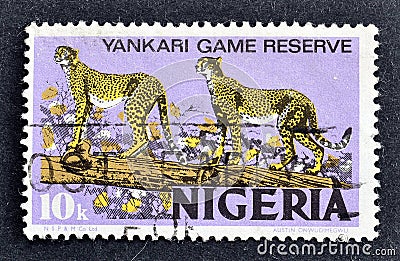 Cancelled postage stamp printed by Nigeria, that shows Cheetahs at Yankari National Park Editorial Stock Photo