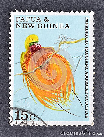 Cancelled postage stamp printed by Papua New Guinea, that shows King of Saxony Bird Editorial Stock Photo