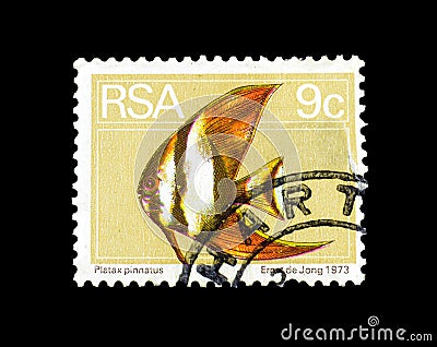 Cancelled postage stamp printed by South Africa, that shows Platax pinnatus Editorial Stock Photo