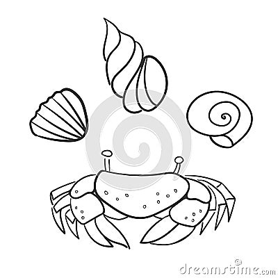 Cancer, crab, shells isolated on white background. Vector Illustration