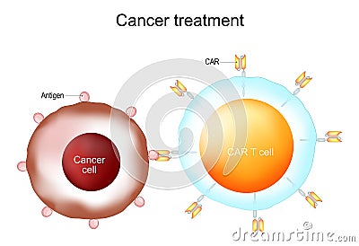 Cancer treatment and CAR T-cell therapy Vector Illustration