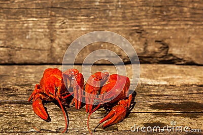 Cancers to beer, boiled crawfish, beer snacks Stock Photo