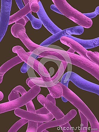 Candida albicans Stock Photo