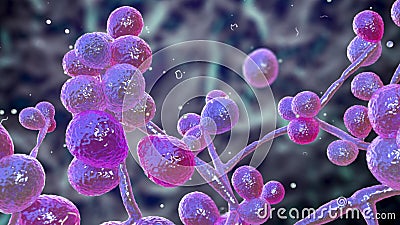 Candida fungi, human pathogenic yeasts Cartoon Illustration