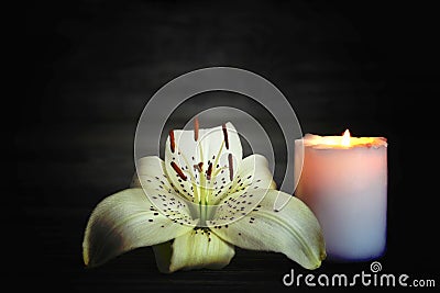 Candle and flower. Condolence card Stock Photo