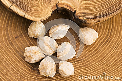 Candlenut or Kukui Stock Photo