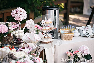 Candy bar. Banquet table full of berries and an assortment of sweets. pie and cake. wedding on the nature. Stock Photo