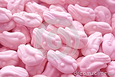 Candy pink shrimp background. Stock Photo