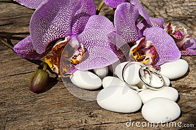 Candy ,wedding rings and orchid Stock Photo