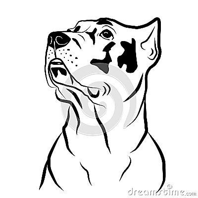 Cane corso dog head portrait . Isolated outlined sketch, logo contour vector illustration Vector Illustration