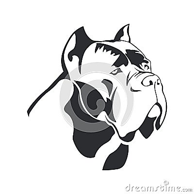 Cane Corso dog logo. Vector Illustration