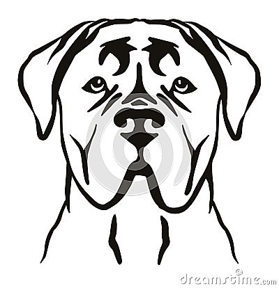 Cane Corso head black and white Vector Illustration