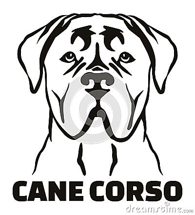 Cane Corso head black and white name Vector Illustration