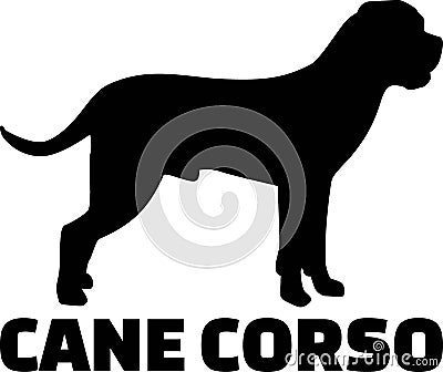 Cane Corso silhouette real word Vector Illustration