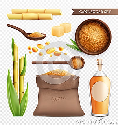 Cane Sugar Realistic Transparent Icon Set Vector Illustration
