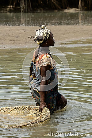 Unidentified local woman pulls a fishing net in the water in a Editorial Stock Photo