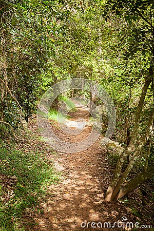 Cania Gorge Track Queensland Australia Stock Photo