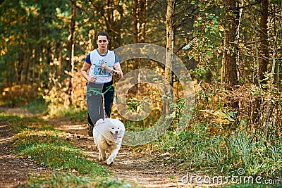 Canicross cross country running with dog, female musher running with Samoyed dog, sled dog racing Editorial Stock Photo