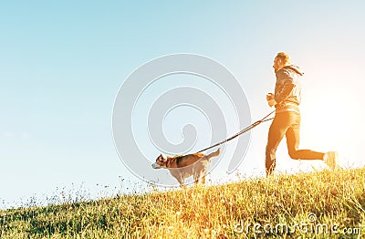 Canicross exercises. Man runs with his beagle dog at sunny morning Stock Photo