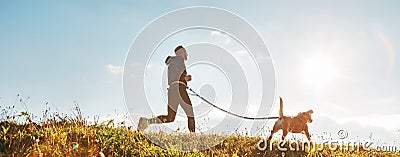 Canicross exercises. Man runs with his beagle dog at sunny morning. Healthy lifestyle concept. Stock Photo