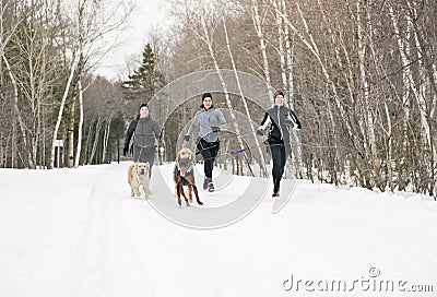 Canicross woman group Sled Dogs Pulling in winter season Stock Photo