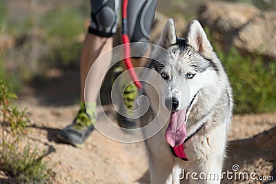 Canicross race Stock Photo