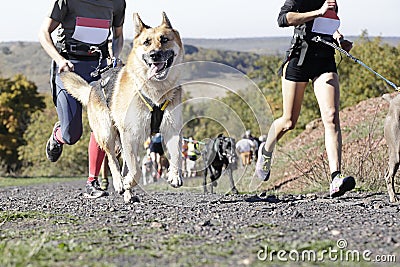 Canicross race Stock Photo