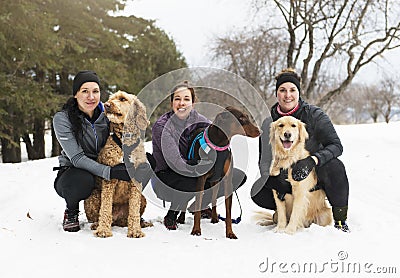 Canicross woman group have fun in winter season Stock Photo