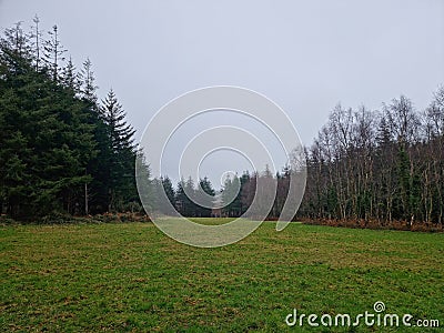 Cann Woods On the Edge of Plymouth and Dartmoor Devon uk Stock Photo