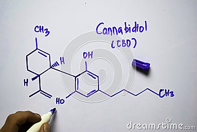 Cannabidiol CBD molecule written on the white board. Structural chemical formula. Education concept Stock Photo