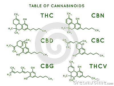 Cannabinoid structure. Cannabidiol molecular structures, THC and CBD formula. Marijuana or cannabis molecules vector Vector Illustration