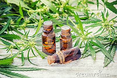 Cannabis herb and leaves for treatment Stock Photo